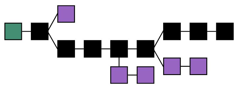 The main chain (black) consists of the longest series of blocks from the genesis block (green) to the current block. Orphan blocks (purple) exist outside the main chain.