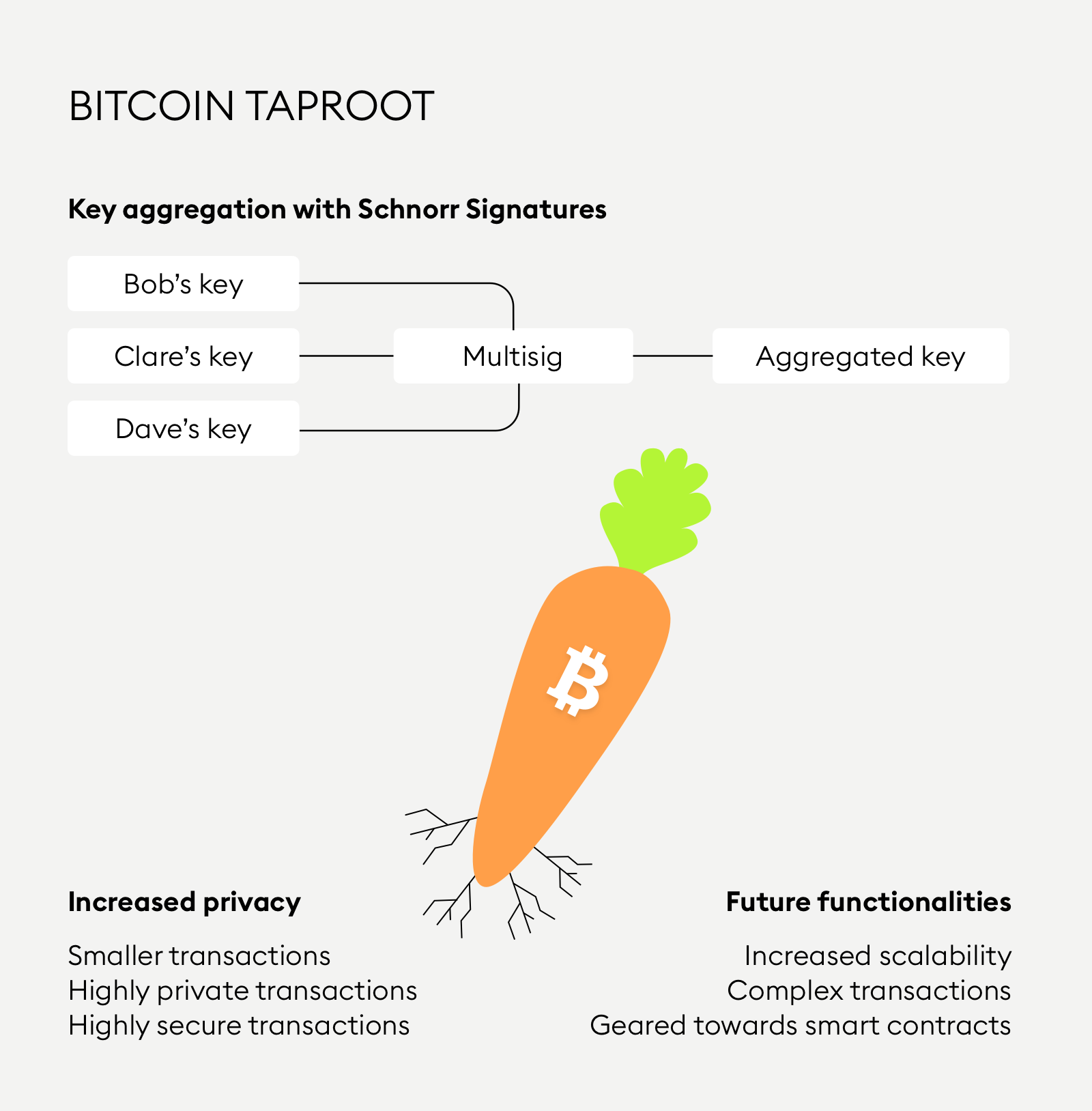 how taproot works