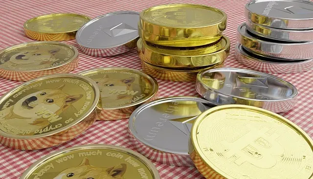 coins, bitcoin, dogecoin