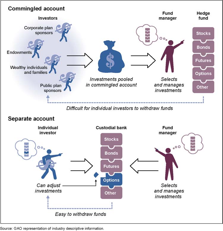 commingled vs segregated funds infographic