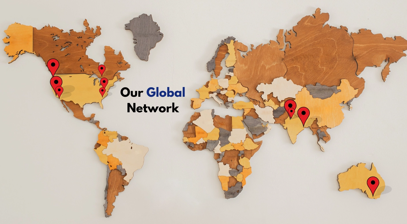 global network map