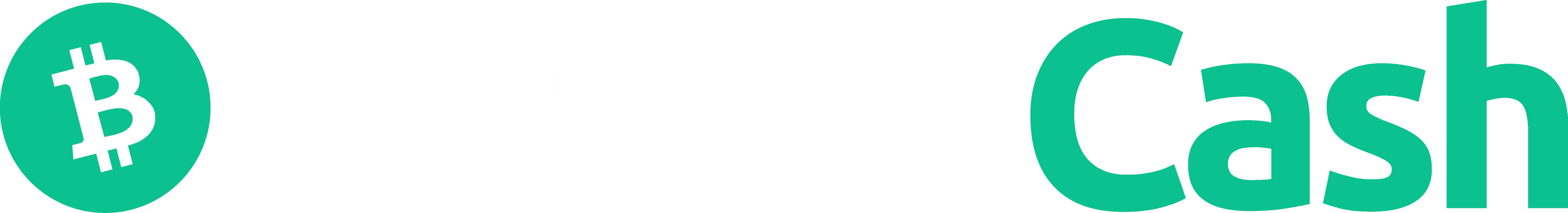 bch coin logo