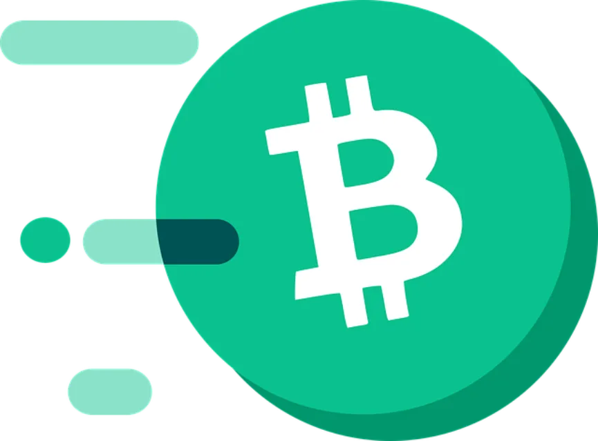 bch logo