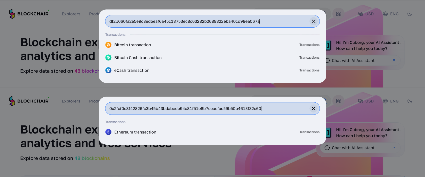 blockchair search suggestions