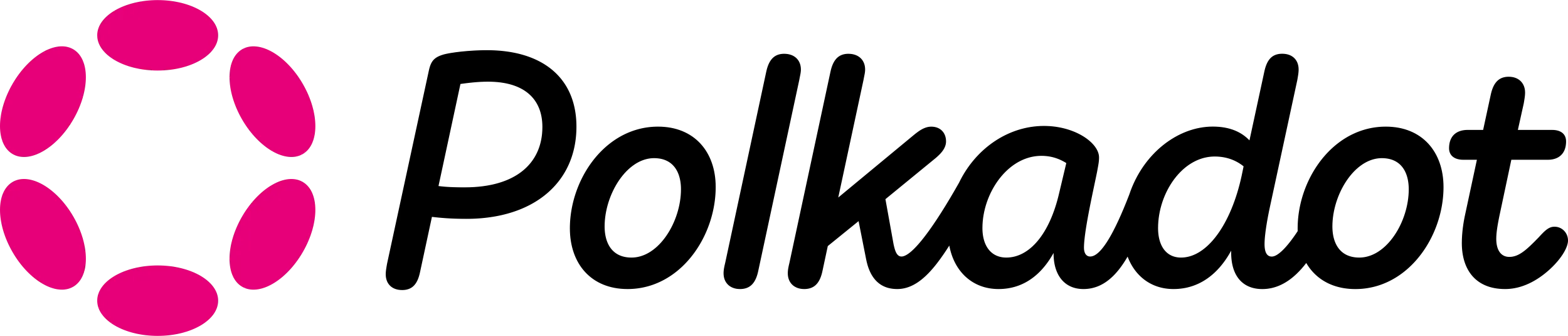 polkadot logo