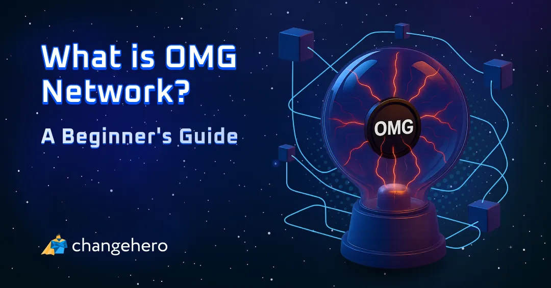 What is OMG Network? A Beginner's Guide