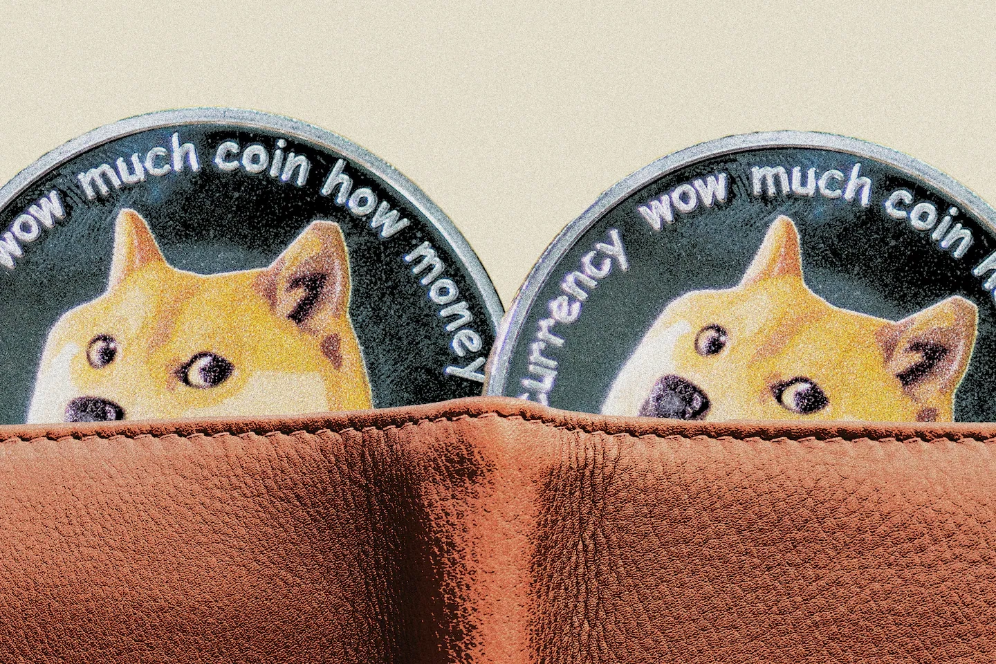 dogecoin wallet istock